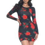 Floral Print Sheer Mesh Long Sleeve Mini Dress