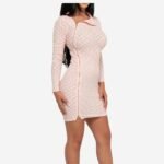 Women's Long Sleeve Zipper Design Bodycon Mini Dress