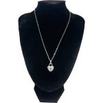 Heart Shape Lock Pendant Necklace and Earring Set