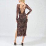 Wild Desires Leopard Print Mesh Backless Midi Dress - Image 4